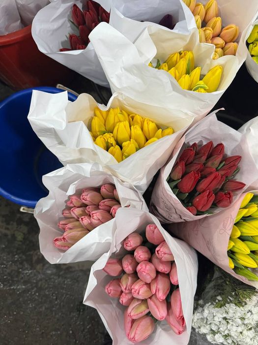 Цветы голландия .