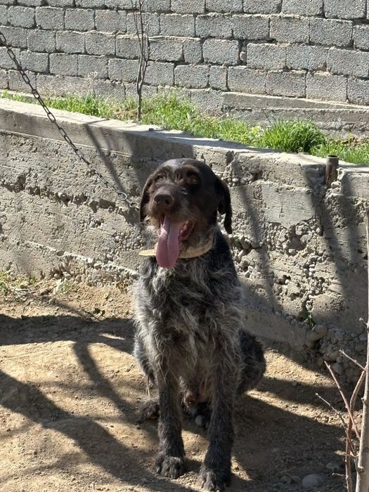 Рабочи кабель для вязки