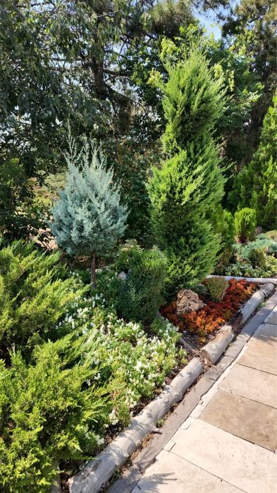 ОЗЕЛЕНЕНИЕ Профессионально