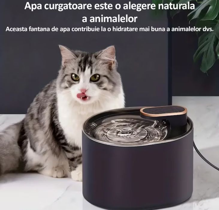 Produse animale de companie.