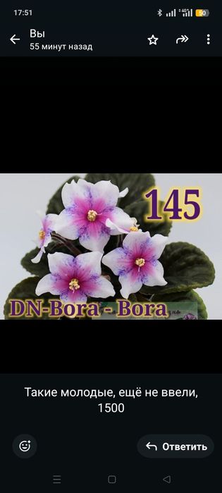 Продам сортовые фиалки