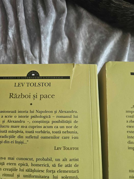 Volumul 1 si 2 Razboi si pace, Editura Corint