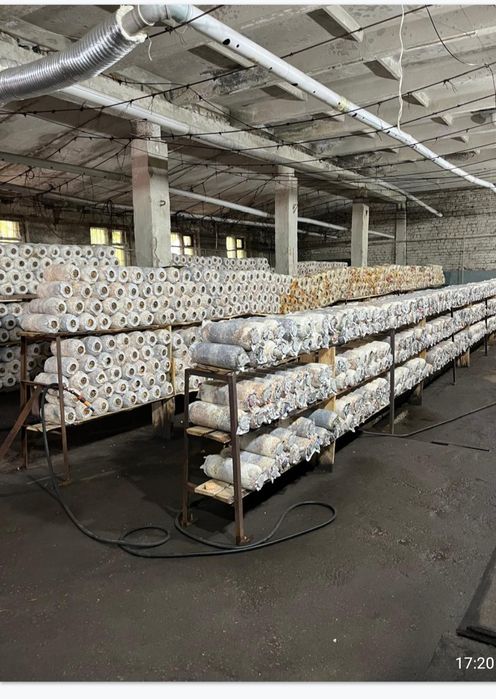 Продам помещение под бизнес.