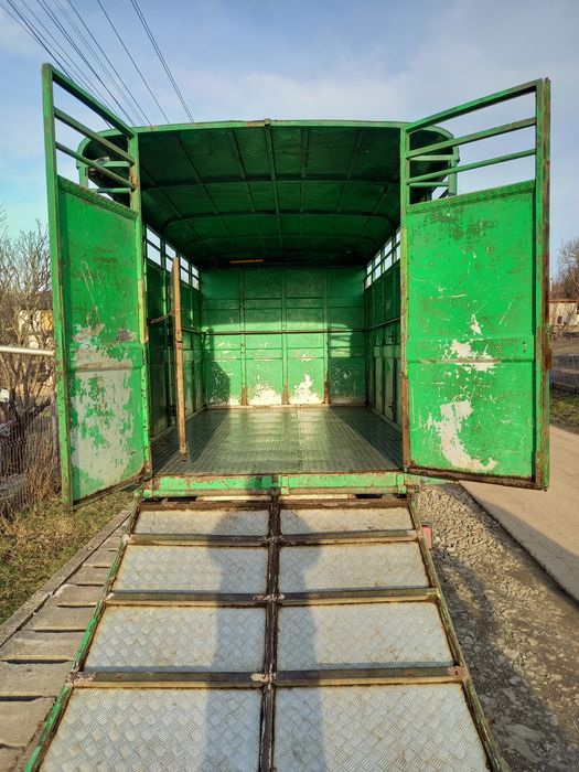 Servicii transport autorizat animale vii (vaci cai vitei oi tauri)