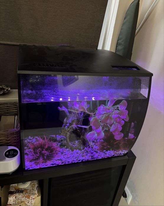 Аквариум Fluval 57л