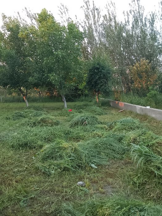 Участок сотилади 7 сотих