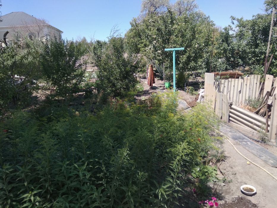 Продается дом 7 комн. (торг)