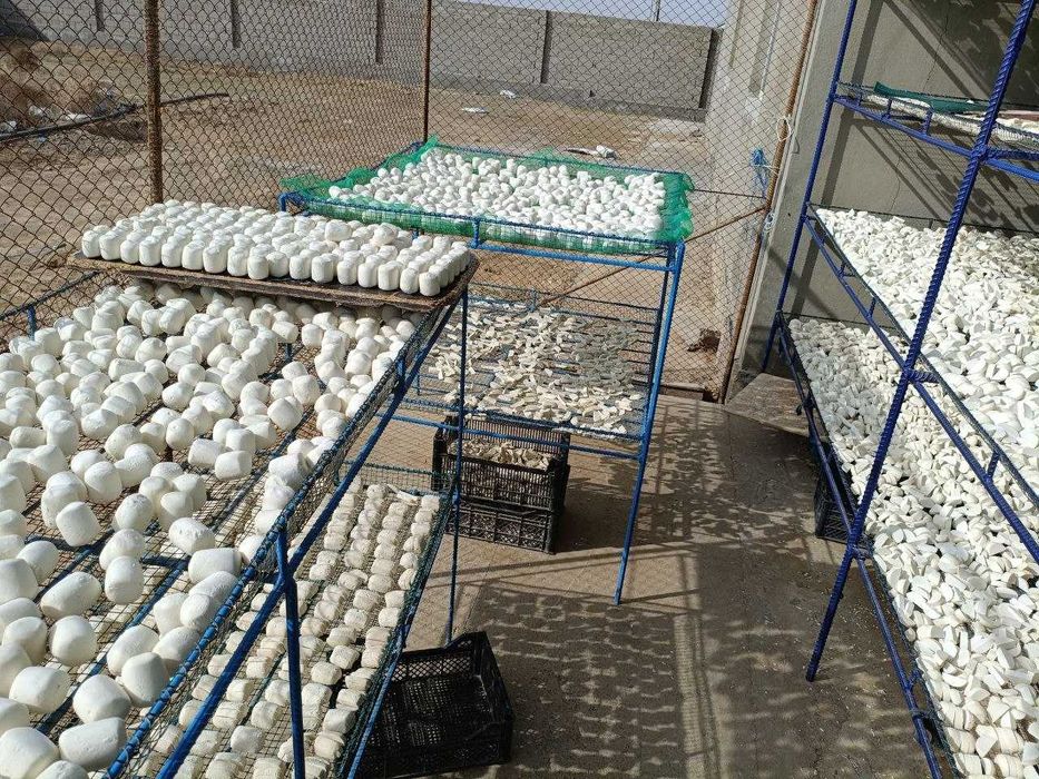 Yangiobod tabiiy qurti