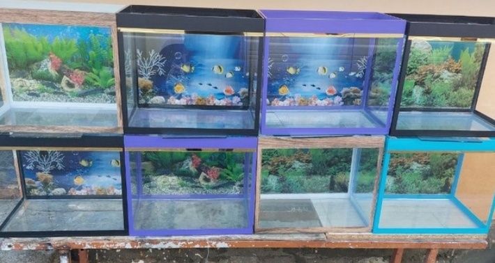 Аквариум разные в