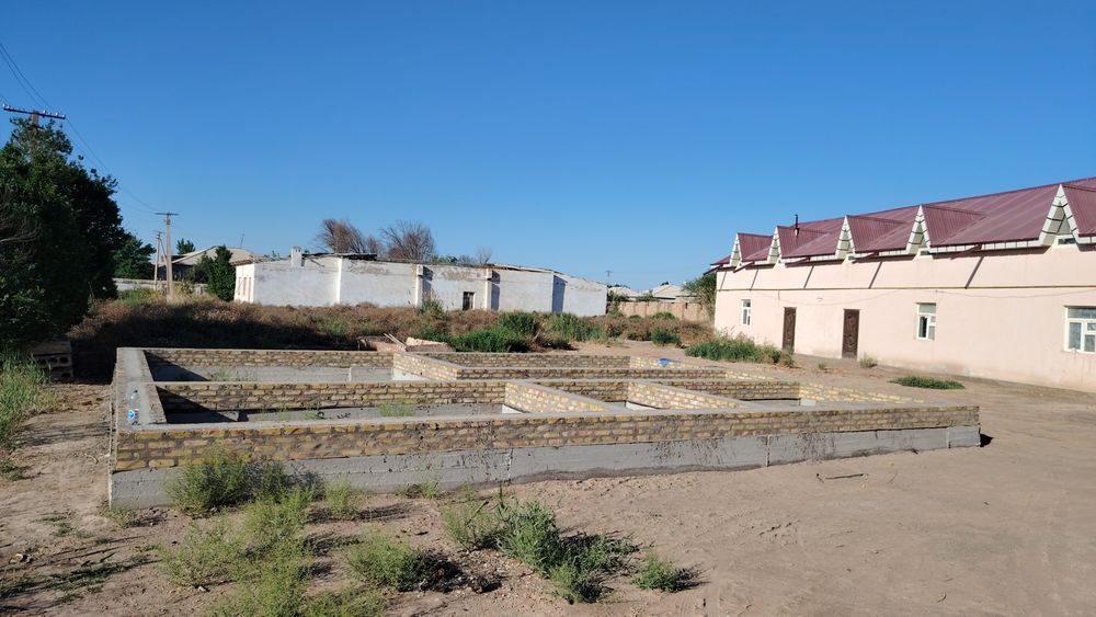 хонка правда да жой урни сотилади