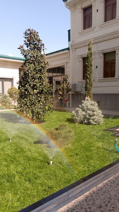 Gazon xizmati kelishilg xolda arzon