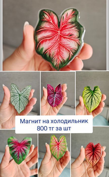 Магнит на холодильник