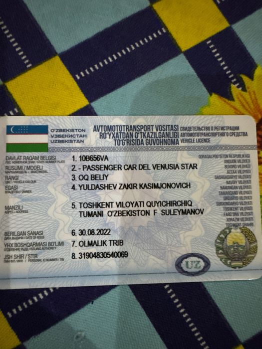 Венуция Стар 2022