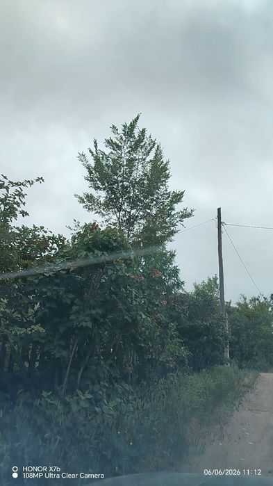 Продам Дачу сад. Яблонька. Ул. Зеленая