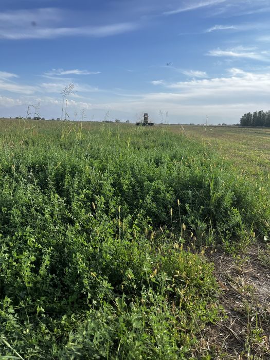 Земля поливная Алатауский район