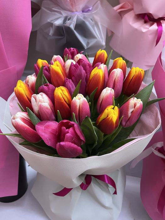 Тюльпаны Астана Сыганак 62