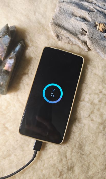 Samsung Galaxy S21 Fun 128GB, Dual Sim