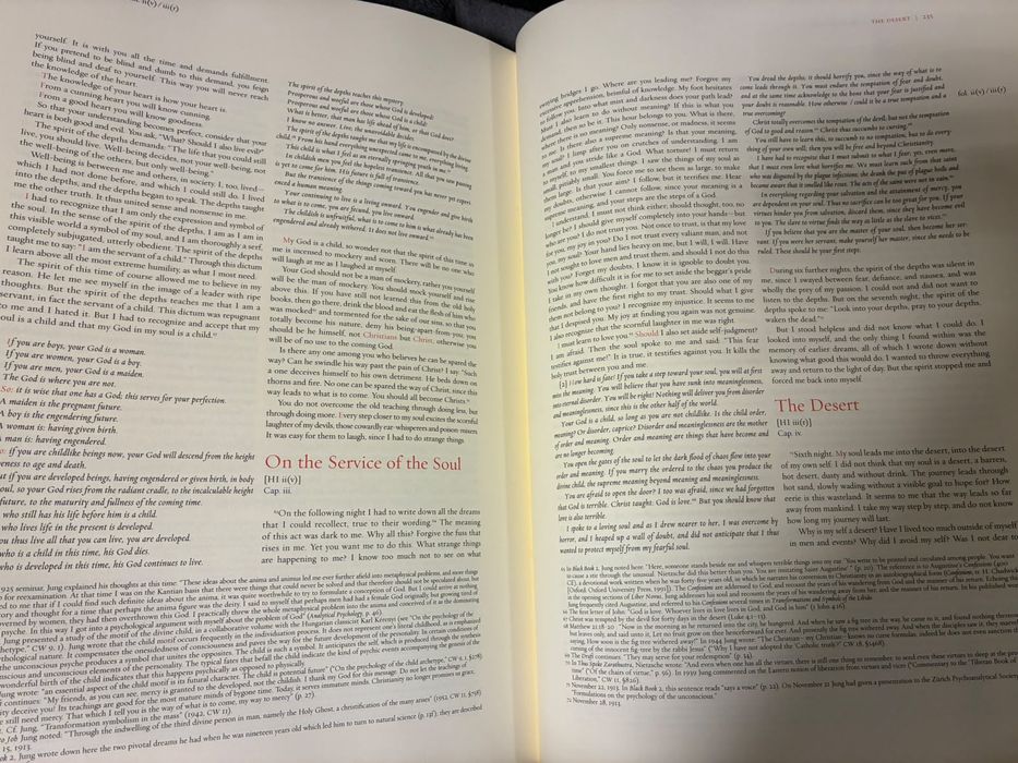 C.G. Jung – The Red Book (Liber Novus) | Ediție mare ilustrată | Hardcover | W.W. Norton