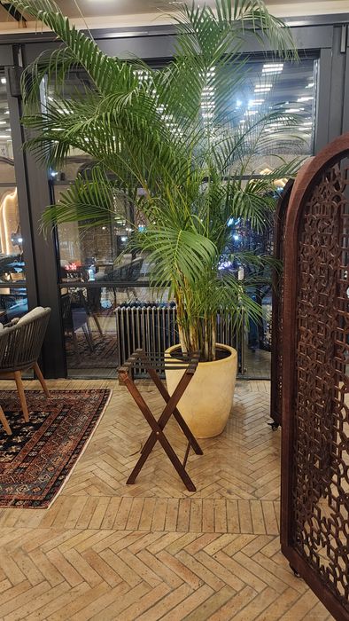 Уход за растениями