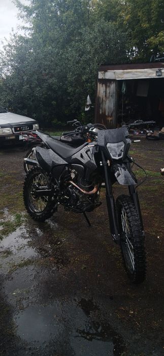 Hammer wolf68 300