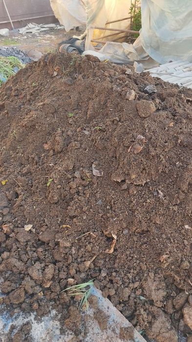 Гунг навоз чиринди