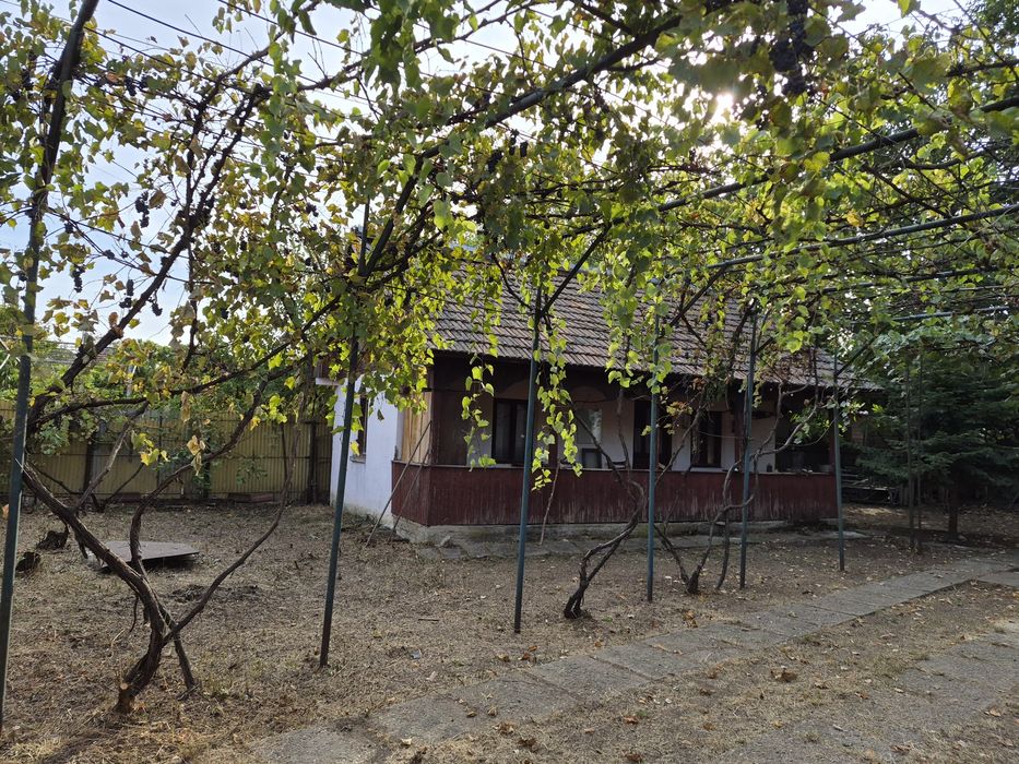 Vand casa vârvor
