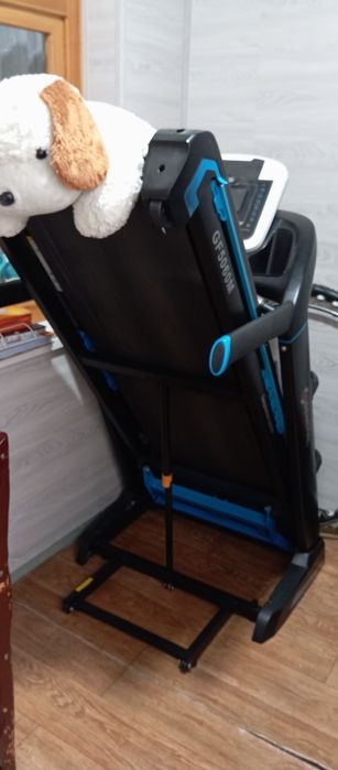 Беговая дорожка.