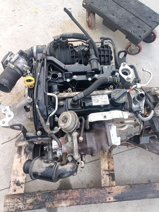 Motor  Ford focus 3 1.0 ecoboost. 1.5 ecoboost Chiuloasa completă