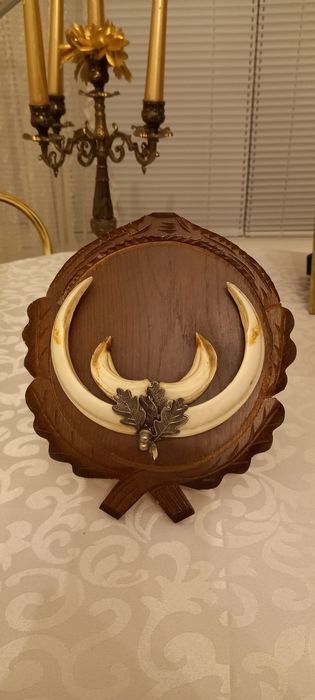 Немски трофеи диво прасе, сръндак/Чинии ловна тематика