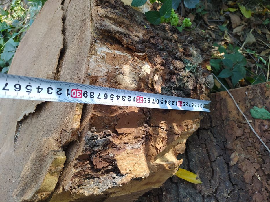 Продам пиломатериал карагача