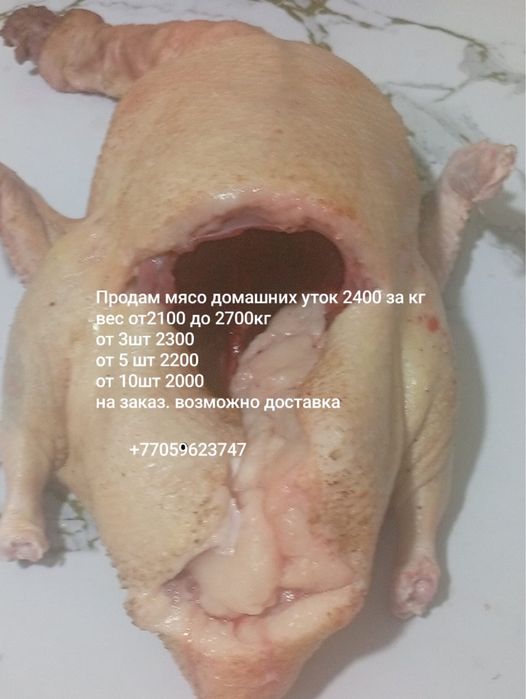 Утки от 2400 тенге