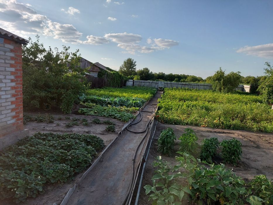 Продам дом в п.Садчиковка.