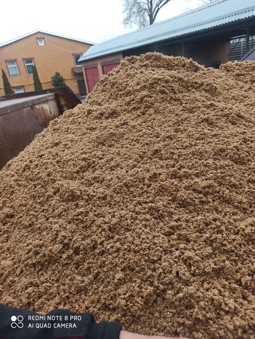 Пивная дробина (Барда)