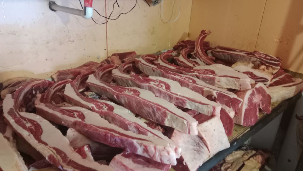 Жылқы еті сатылады.  Бие 5жасар байтал