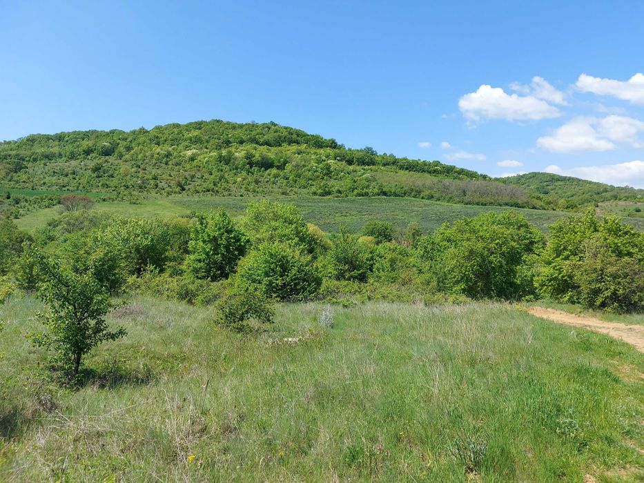 Продава се Парцел в с. Малка Верея, Област Стара Загора - 8537 кв.м за 8 €/кв.м - Снимка #11