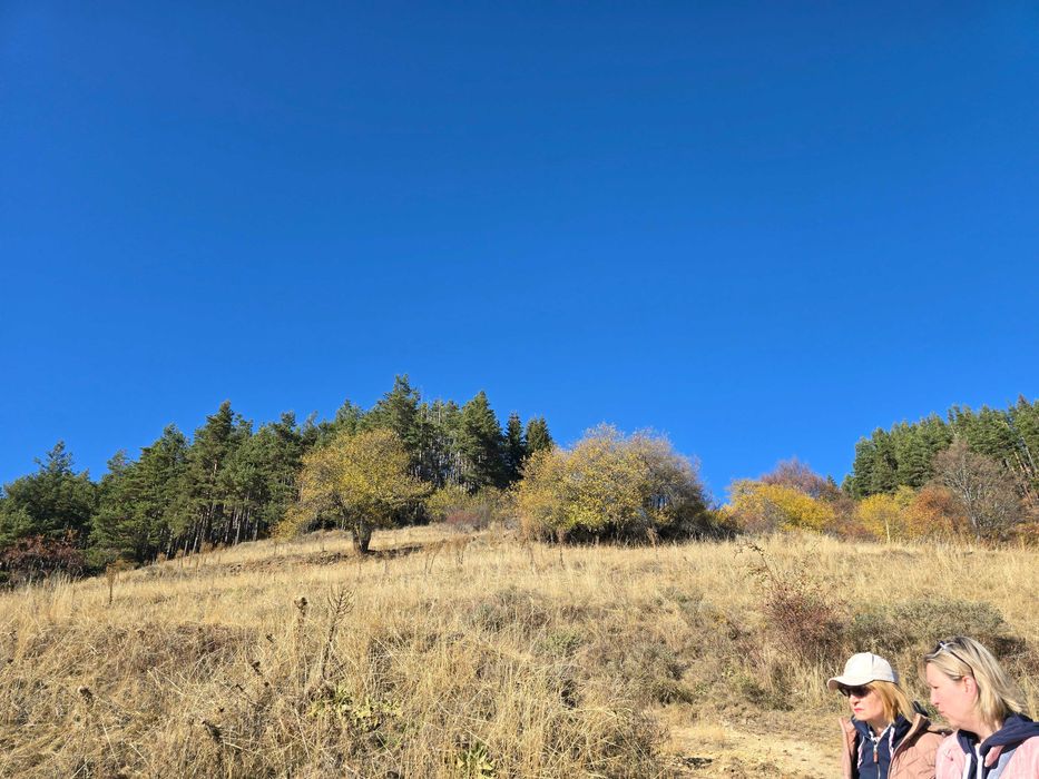 Продава се Къща в к.к. Пампорово - 160 кв.м за 269 €/кв.м - Снимка #12