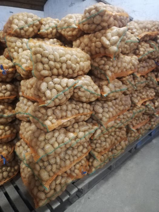 Cartofi consum si samanta