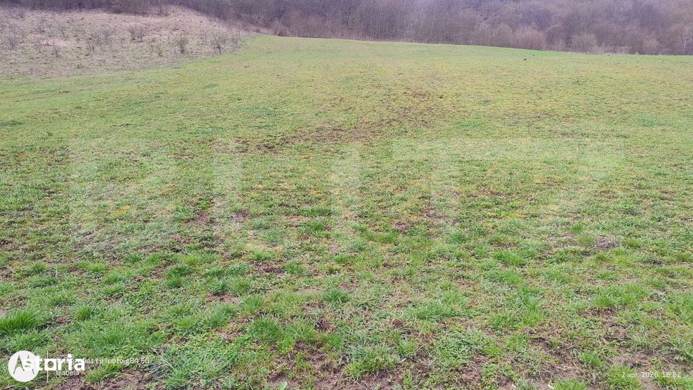 Teren superb 2.500 mp in Nicula – liniste, natura si priveliste de v
