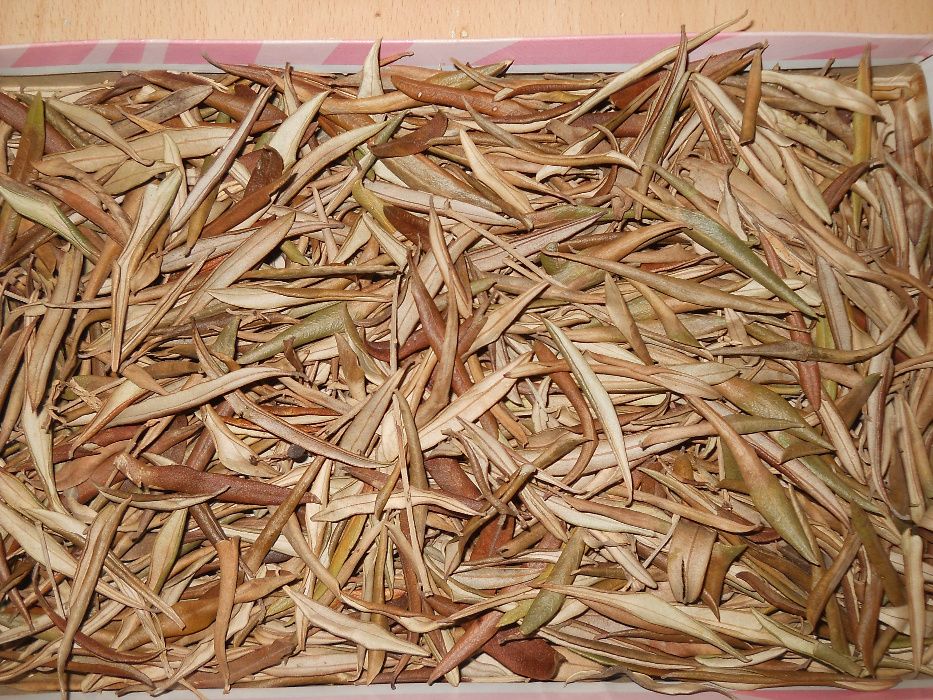 Frunze maslin pentru ceai