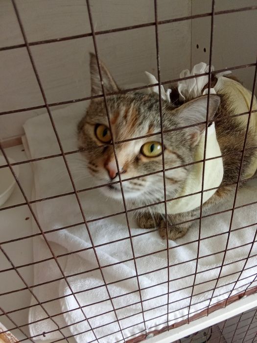 Малышка ищет семью