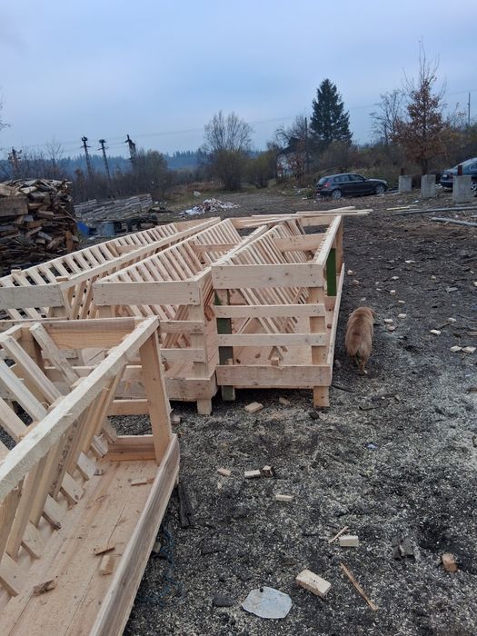 Vând iesili pentru oii