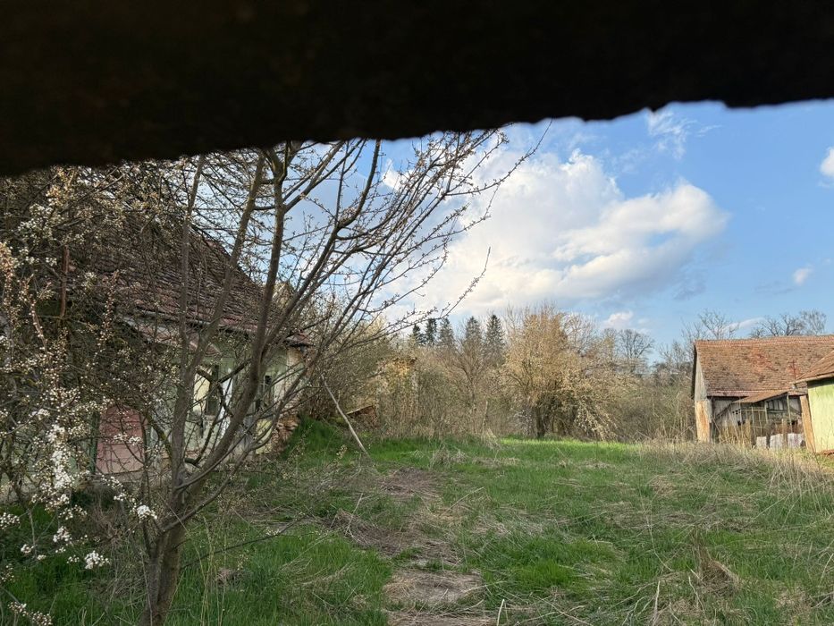 Casă de vânzare (Valea Hartibaciului)