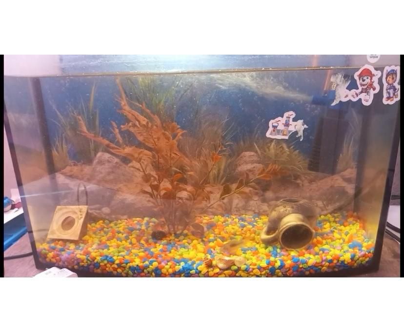 Аквариум для рыб