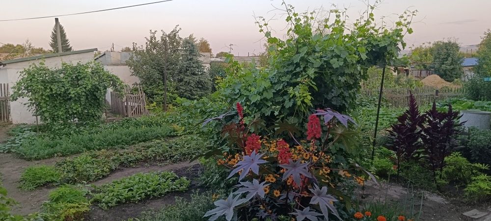 Обменяю или продам благоустроенный дом