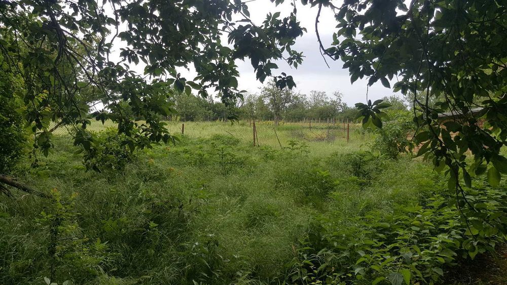 Продавам къща с двор в село червенци