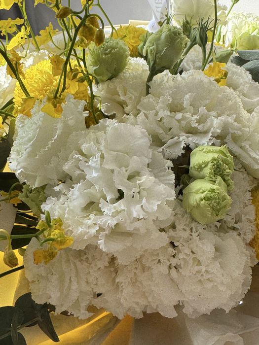 Свежие цветы (момоко)