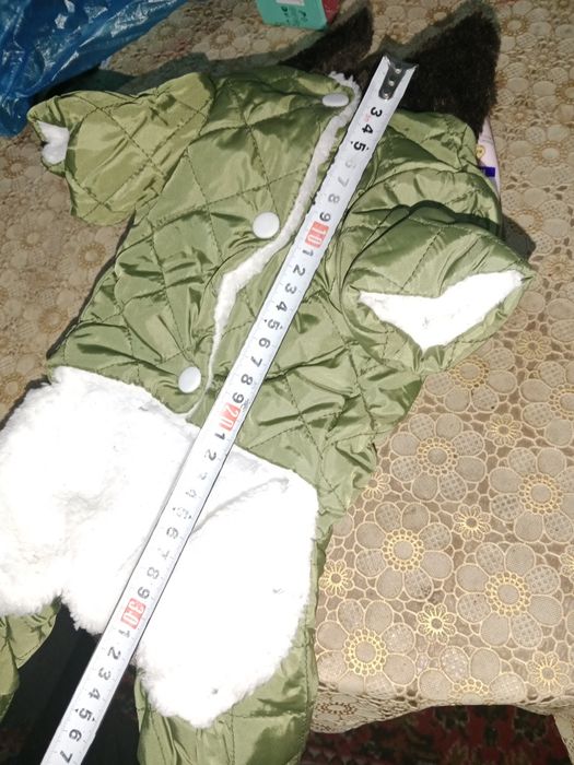 Костюм на маленькую собачку