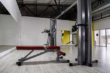 Кроссовер регулируемый Impulse IFCC-10. Impulse ifcc-10 krossover.