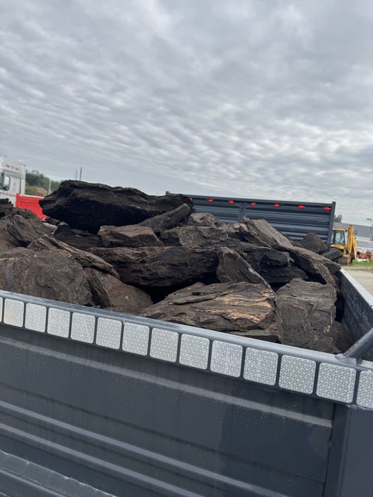 Carbuni lignit calitate superioara