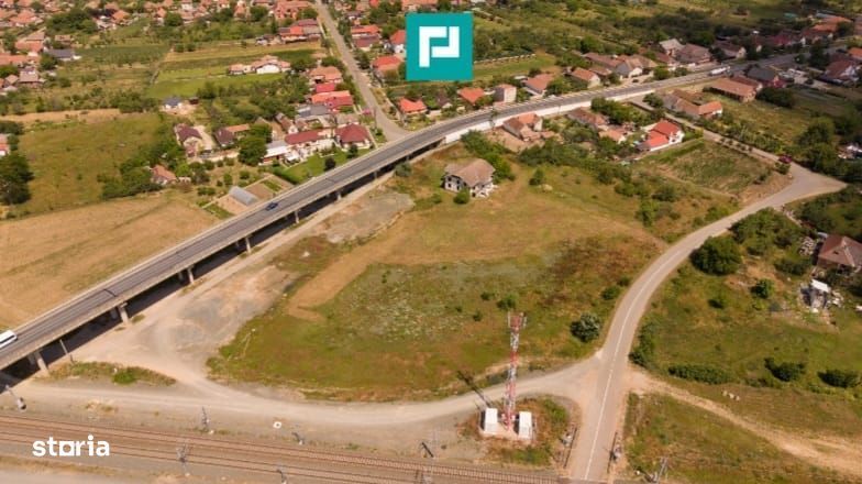 Teren intravilan 10.000 mp. în Pauliș